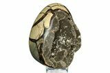 Septarian Dragon Egg Geode - Sparkly Black Crystals #308839-2